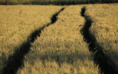 Tiefe Verarbeitung von Eindrücken – Leben mit Hochsensibilität
